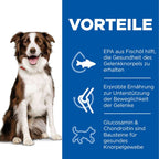 Hills Science Plan Canine Adult Healthy Mobility Medium Huhn Trockenfutter 14 Kg Trockenfutter