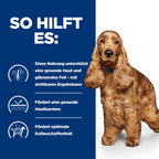  Hills Z/D ActivBiome+ Dosenfutter Für Hunde Bei Futtermittelallergie 12 X 370 G (ActivBiome+) Dosenfutter Für Hunde