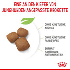  Royal Canin Giant Junior Welpenfutter Für Sehr Große Hunde 15 Kg Trockenfutter Für Hunde