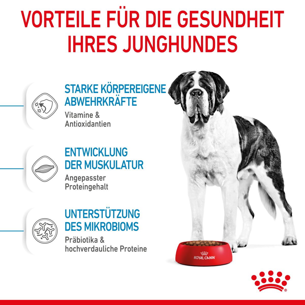  Royal Canin Giant Junior Welpenfutter Für Sehr Große Hunde 15 Kg Trockenfutter Für Hunde