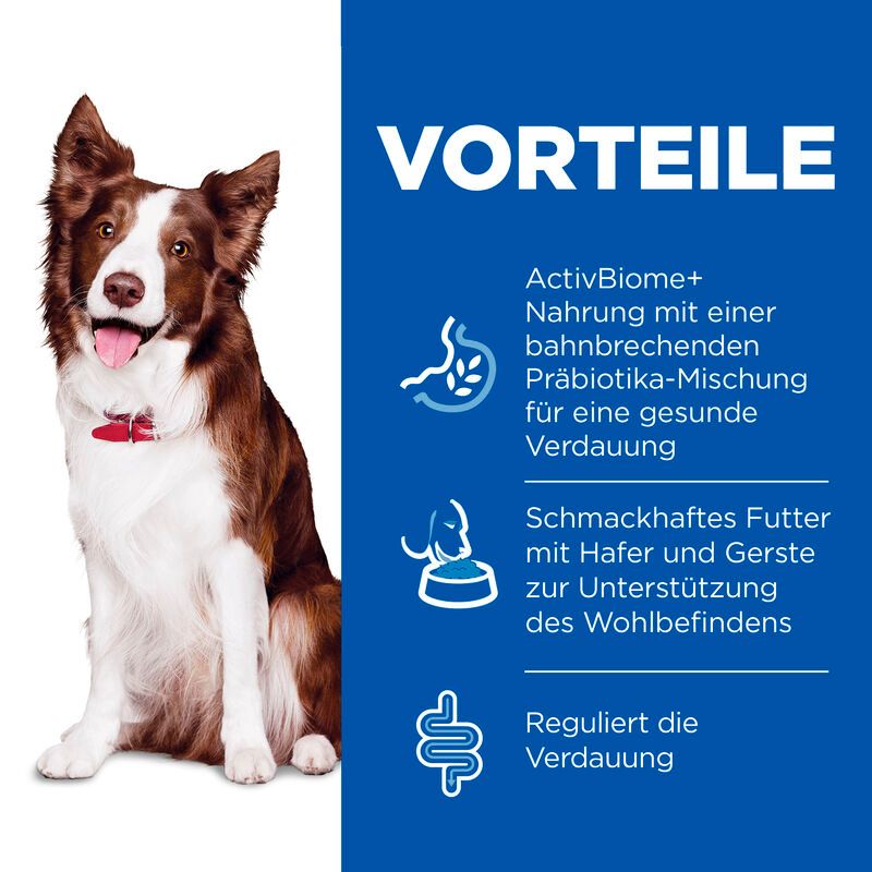 Hills Science Plan Canine Perfect Digestion Adult Medium Trockenfutter Für Hunde 14 Kg Huhn & Reis Trockenfutter