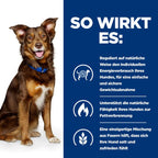  Hills Canine Metabolic Dosenfutter Für Hunde 12 X 370 G Dosenfutter Für Hunde
