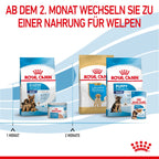  Royal Canin Maxi Starter Trockenfutter 15 Kg Trockenfutter Für Hunde