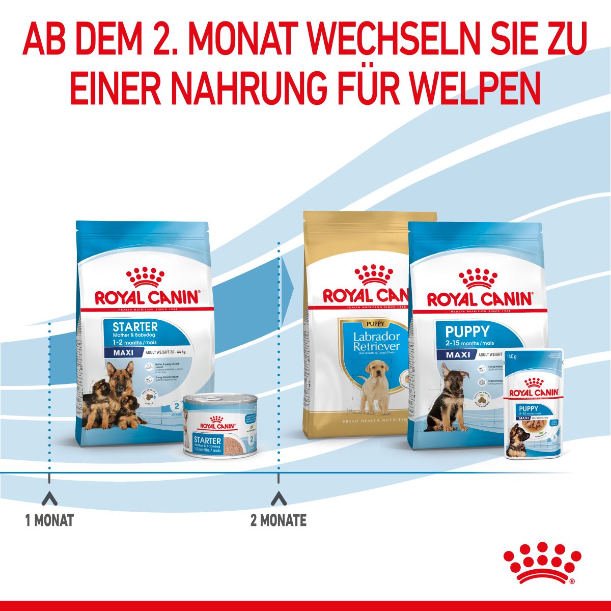  Royal Canin Maxi Starter Trockenfutter 15 Kg Trockenfutter Für Hunde