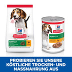  Hills Science Plan Canine Hund Puppy Huhn Dosenfutter 12 X 370 G Dosenfutter Mit Huhn