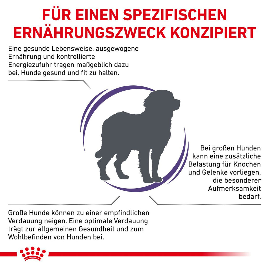  Royal Canin Adult Large Dogs Trockenfutter Für Hunde 13 Kg Trockenfutter Für Hunde