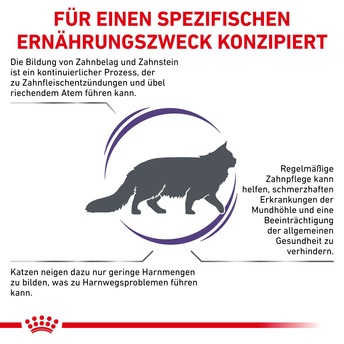 Royal Canin Dental Trockenfutter Für Katzen 1,5 Kg Trockenfutter Für Katzen