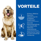  Hills Science Plan Canine Adult Perfect Weight Large Breed Trockenfutter 12 Kg Trockenfutter Mit Huhn
