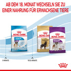 Royal Canin Giant Junior Welpenfutter Für Sehr Große Hunde 15 Kg Trockenfutter Für Hunde