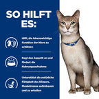  Hills Feline K/d Lachs Frischebeutel Für Katzen 12 X Lachs Frischebeutel