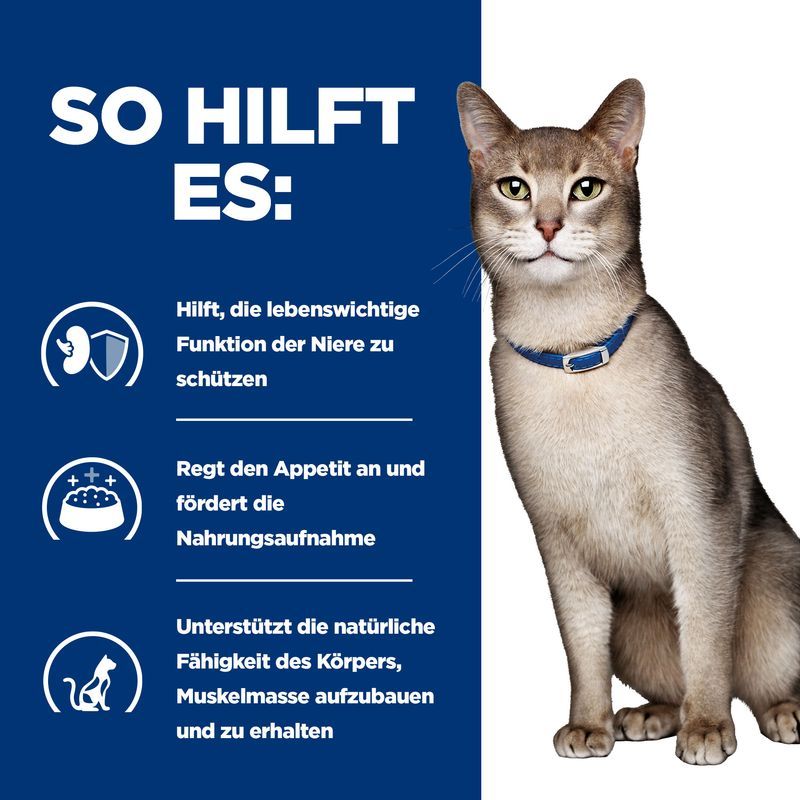 Hills Feline K/d Lachs Frischebeutel Für Katzen 12 X Lachs Frischebeutel