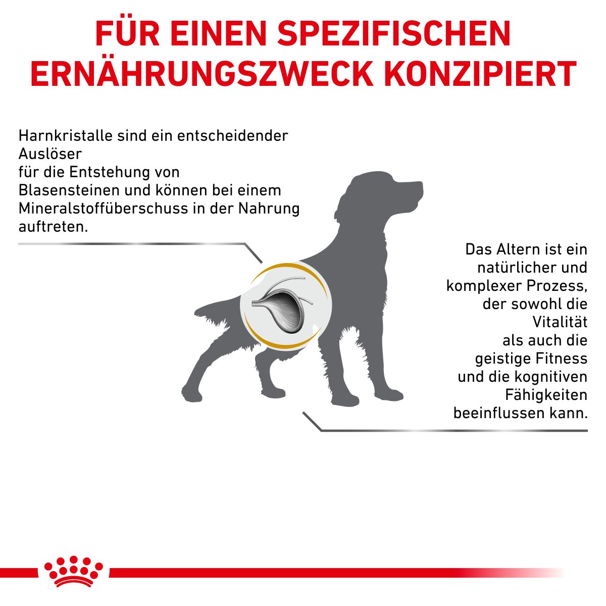  Royal Canin Urinary S/O AGEING 7+ Hundefutter 1,5 Kg Trockenfutter Für Hunde