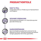  Royal Canin Dog Adult Frischebeutel Für Hunde 12 X 100 G Frischebeutel Für Hunde