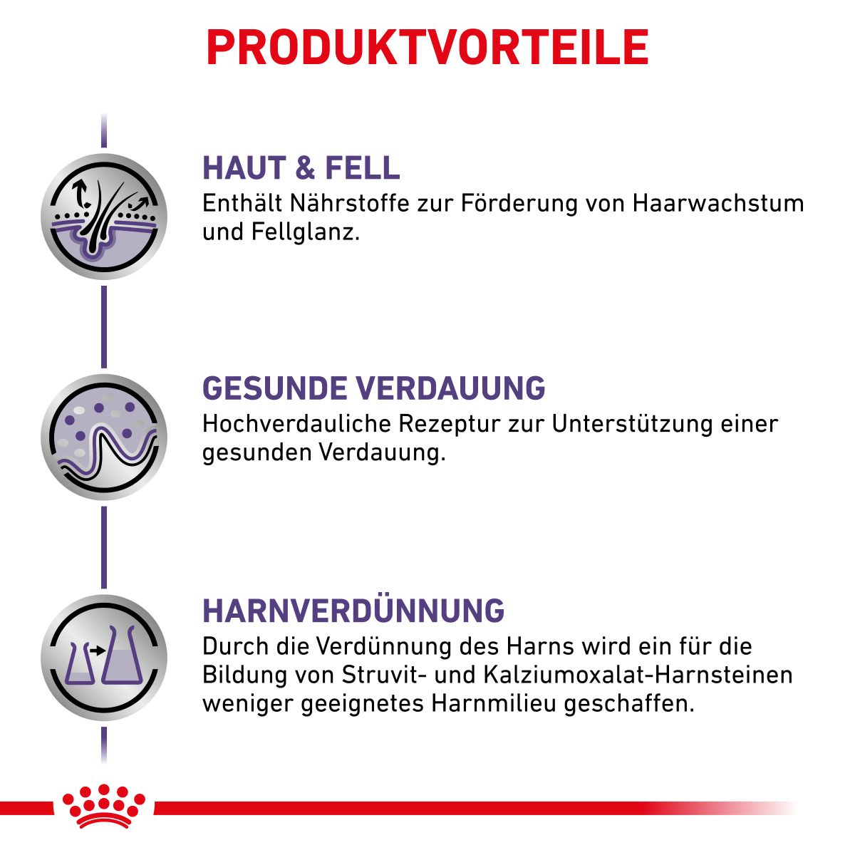  Royal Canin Dog Adult Frischebeutel Für Hunde 12 X 100 G Frischebeutel Für Hunde