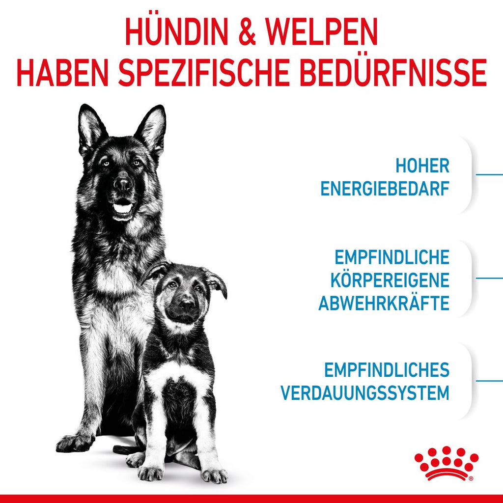  Royal Canin Maxi Starter Trockenfutter 15 Kg Trockenfutter Für Hunde