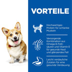  Hills Science Plan Canine Hund Adult Small & Mini Trockenfutter 6 Kg Trockenfutter Für Hunde