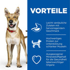  Hills Science Plan Canine Adult Performance Huhn Trockenfutter Für Hunde 14 Kg Trockenfutter