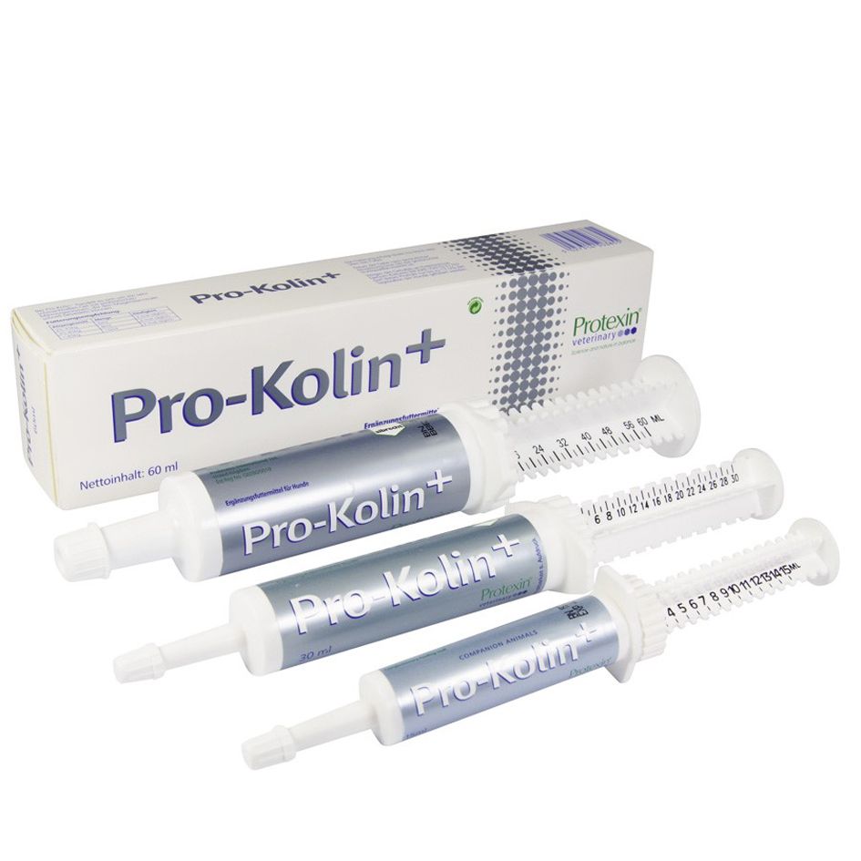  Dechra Pro-Kolin Advanced Für Hunde Zur Verdauungsregulierung 15 Ml Pro-Kolin Advanced