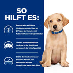 Hills Hils Prescription Diet Derm Complete Puppy Mit Reis Und Ei Trockenfutter Für Hunde 1,5 Kg Trockenfutter