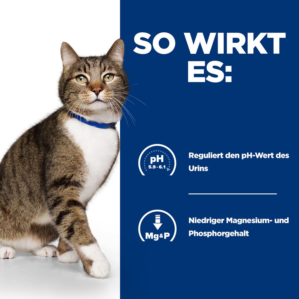  Hills Prescription Diet S/d Nassfutter Für Katzen Mit Huhn 12 X 85 G Frischebeutel