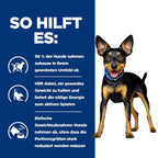  Hills Canine Metabolic Mini Ragout In Dosen Für Hunde 24 X 156g Ragout In Dosen