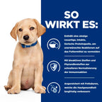 Hills Hils Prescription Diet Derm Complete Puppy Mit Reis Und Ei Trockenfutter Für Hunde 1,5 Kg Trockenfutter