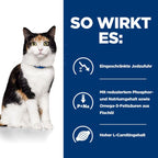  Hills Y/d Dosenfutter Für Katzen 24 X 156 G Dosen