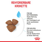  Royal Canin Mini Starter Trockenfutter 4 Kg Trockenfutter