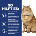  Hills K/d + Mobility Trockenfutter Für Katzen 1,5 Kg Trockenfutter Für Katzen