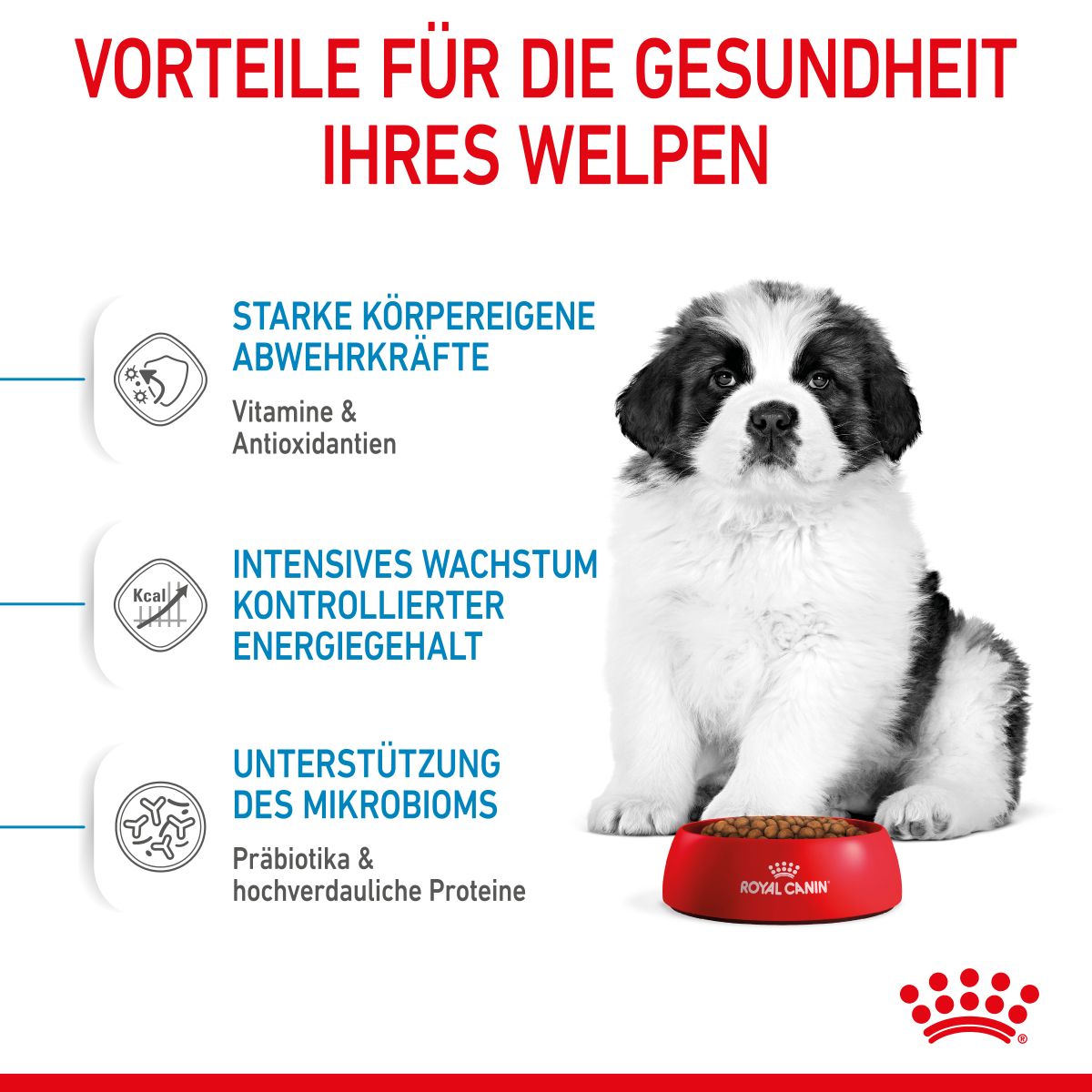  Royal Canin Gigant Puppy Trockenfutter Für Welpen Sehr Großer Rassen 3,5 Kg Trockenfutter Für Hunde (neues Design)