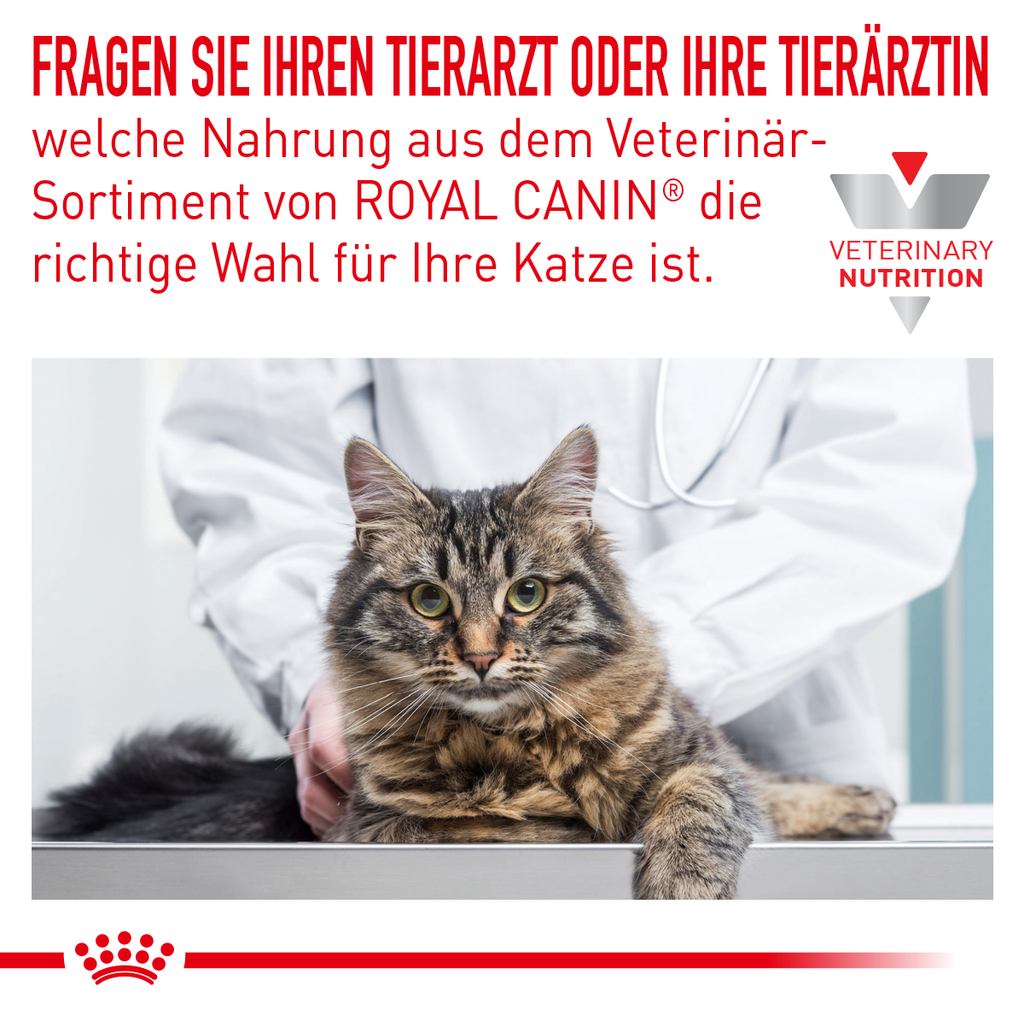  Royal Canin Skin & Coat Trockenfutter Für Katzen 1,5 Kg Trockenfutter Für Katzen