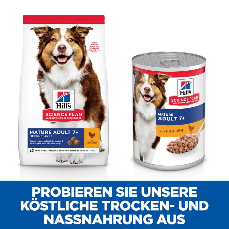  Hills Science Plan Canine Mature Adult 7+ Hund Huhn Dosenfutter 12 X 370 G Dosenfutter Mit Huhn