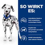  Hills U/d Dosenfutter Für Hunde 12 X 370 G Dosenfutter Für Hunde