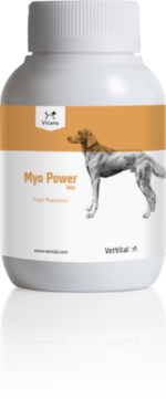  VetVital Vicano Myo Power Tabs Für Hunde 100 Tabletten Für Hunde