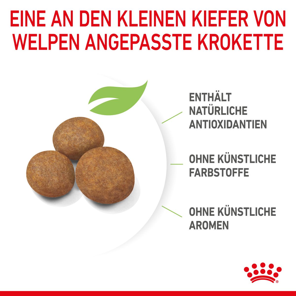  Royal Canin Maxi Puppy Für Welpen Großer Rassen 4 Kg Trockenfutter Für Hunde