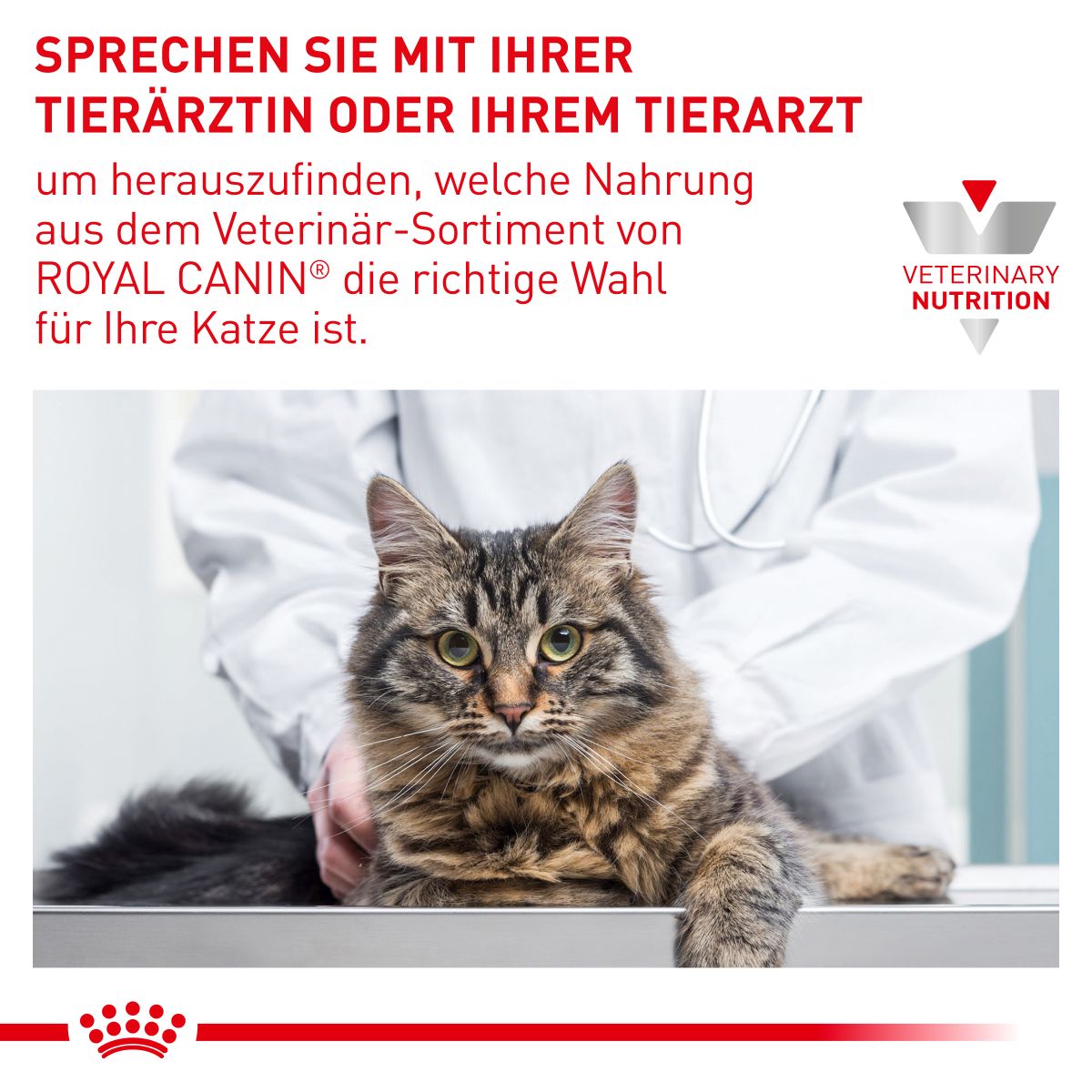  Royal Canin Diabetic Trockenfutter Für Katzen 1,5 Kg Trockenfutter Für Katzen