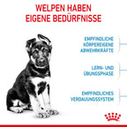  Royal Canin Maxi Puppy Für Welpen Großer Rassen 4 Kg Trockenfutter Für Hunde