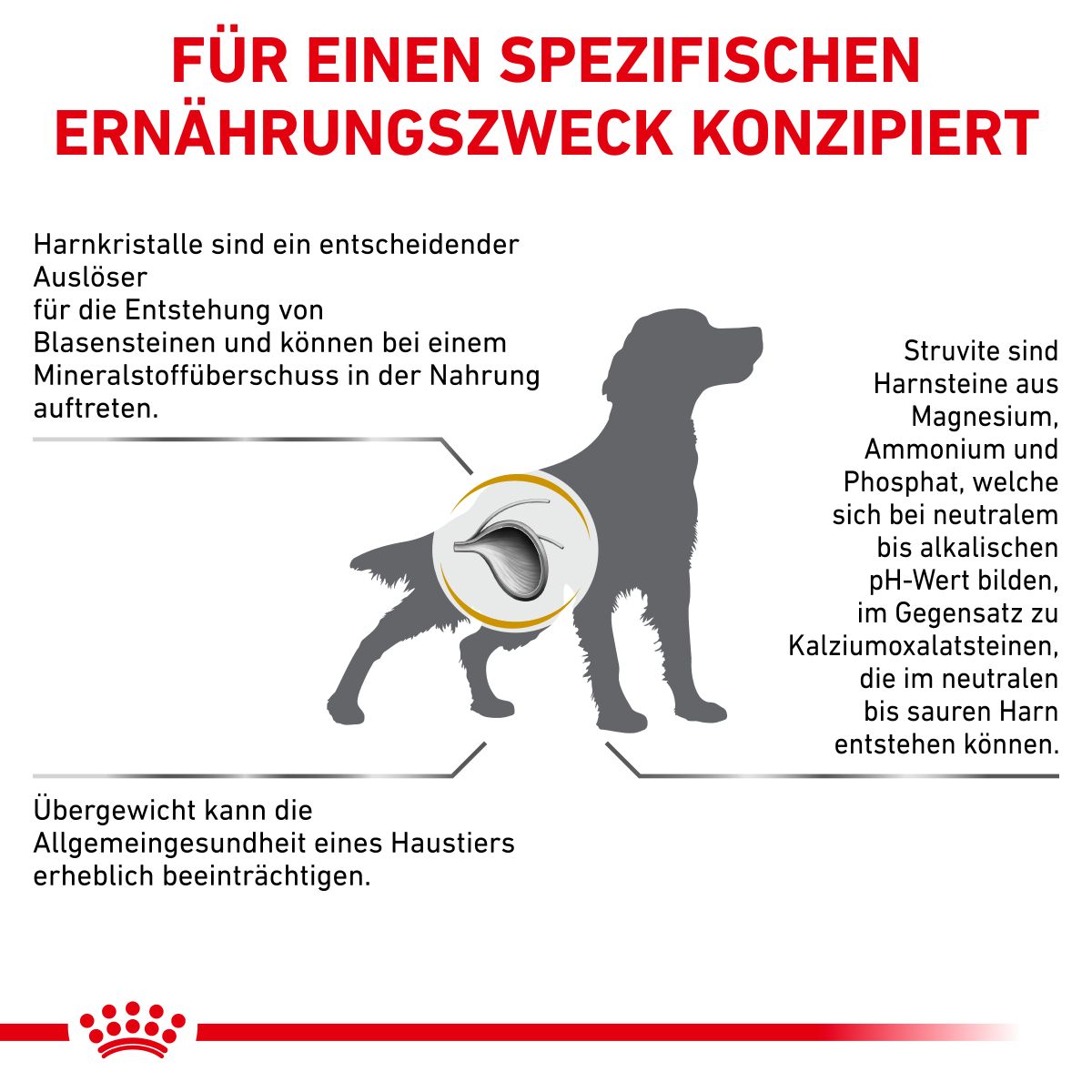  Royal Canin Urinary S/O Moderate Calorie Für Hunde 1,5 Kg Trockenfutter Für Hunde
