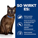  Hills M/d Dosenfutter Bei Katzendiabetes 24 X 156 G Dosen Feingehackt