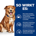  Hills Prescription Diet Canine Derm Complete Trockenfutter Für Hunde 1,5 Kg Trockenfutter