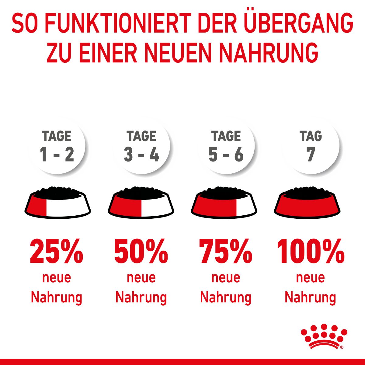  Royal Canin Kitten Frischebeutel Mit Gelee 12 X 85 G In Gelee Frischebeutel