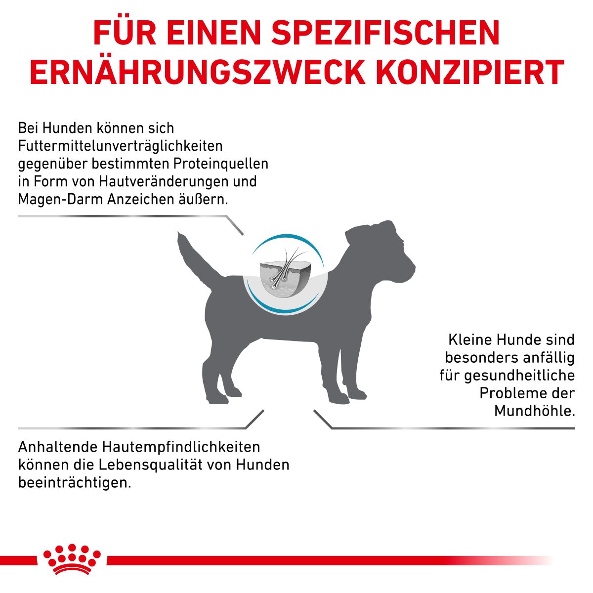  Royal Canin Anallergenic Small Dogs Trockenfutter Für Hunde 1,5 Kg Trockenfutter Für Hunde