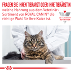  Royal Canin Skin & Coat Frischebeutel Für Katzen 12 X 85 G Frischebeutel Für Katzen