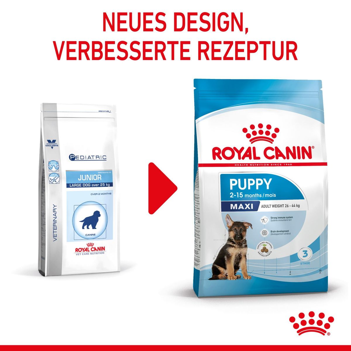  Royal Canin Maxi Puppy Für Welpen Großer Rassen 4 Kg Trockenfutter Für Hunde