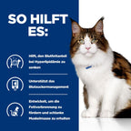  Hills Feline W/d Multi-Benefit Huhn Frischebeutel Für Katzen 12 X 85 G Frischebeutel Mit Huhn