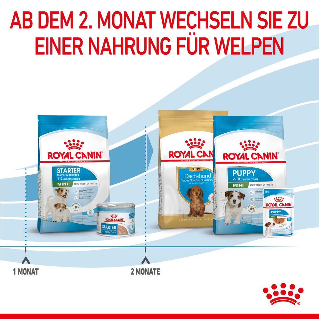  Royal Canin Mini Starter Trockenfutter 4 Kg Trockenfutter