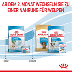  Royal Canin Mini Starter Trockenfutter 4 Kg Trockenfutter