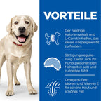  Hills Science Plan Canine Light Adult Large Breed Mit Huhn Trockenfutter 14 Kg Trockenfutter