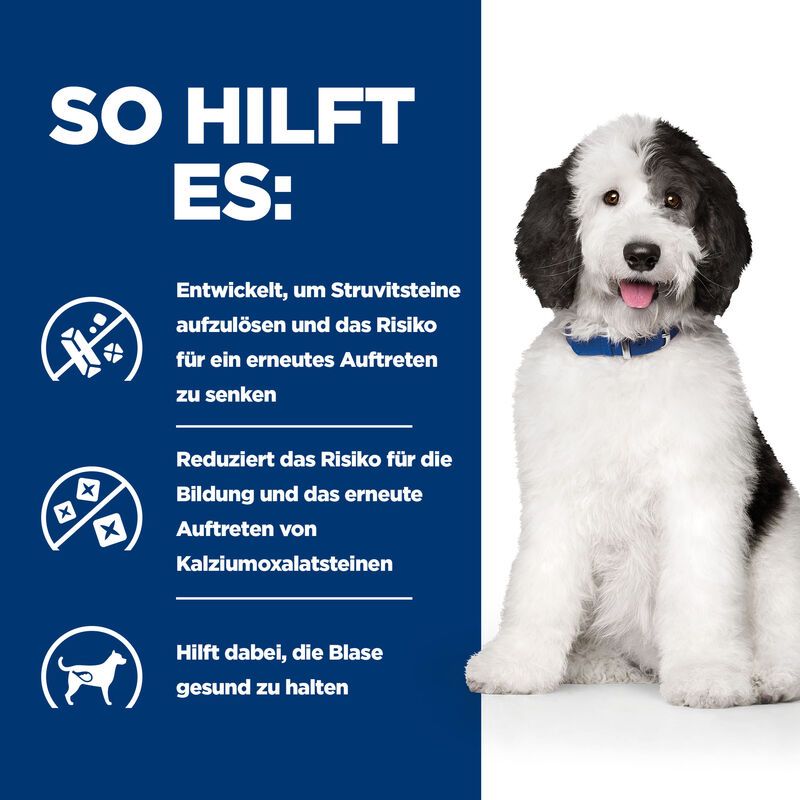  Hills Urinary Care C/d Multicare Ragout In Dosen Für Hunde 12 X 354 G Dosenfutter Für Hunde