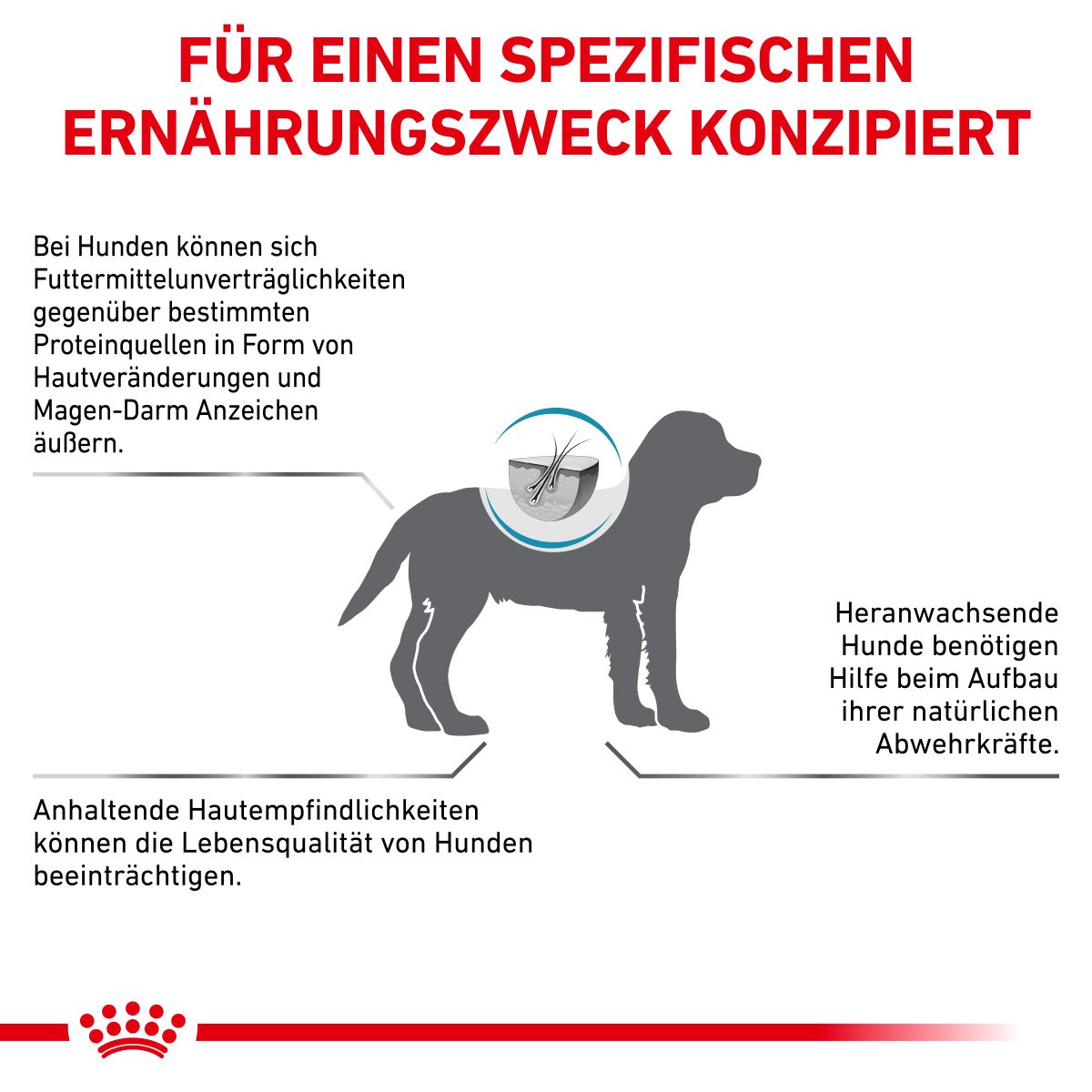  Royal Canin Hypoallergenic Puppy Trockenfutter Für Hunde 1,5 Kg Trockenfutter Für Hunde